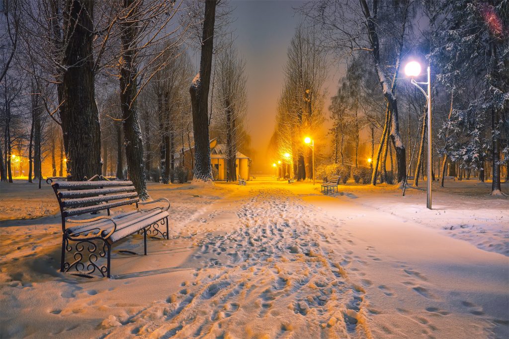 Snowy Night in Central Park